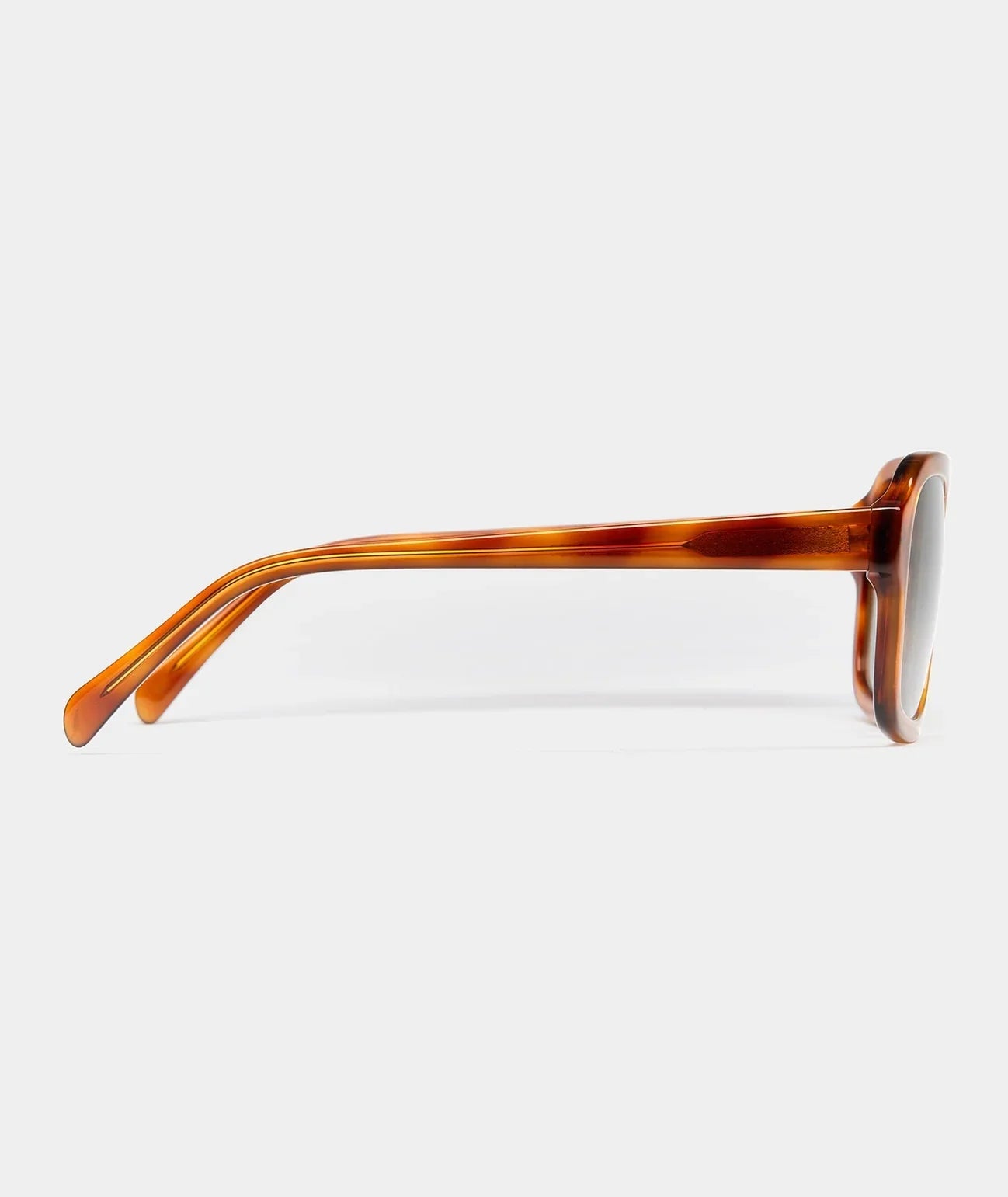 VEHLA Dixie - Honey Tort/Graphite - Glasses