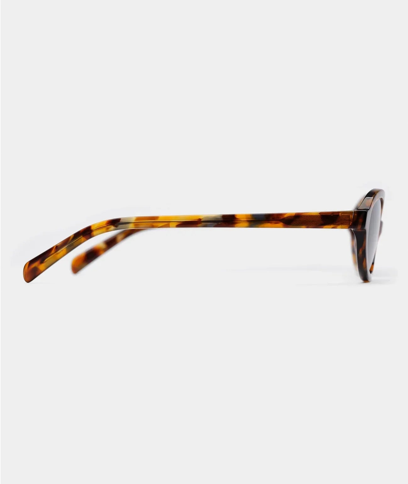 VEHLA June - Tort/Smoke - Glasses