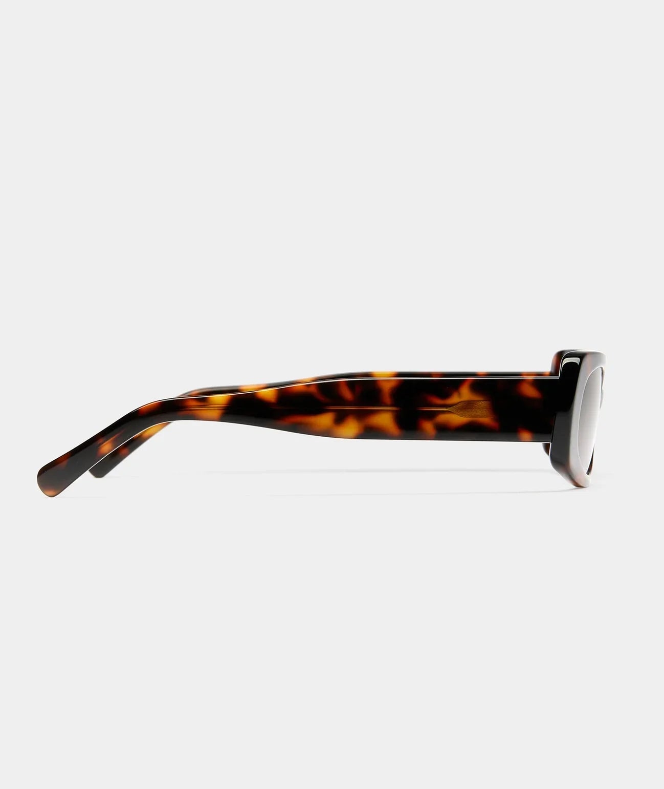 VEHLA Olsen - Choc Tort/Choc - Glasses